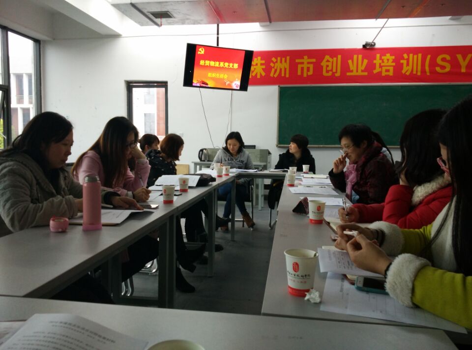 經(jīng)貿(mào)物流系黨支部召開“兩學(xué)一做”專題組織生活會