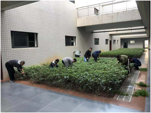 守初心、擔(dān)使命，助力建設(shè)美麗校園